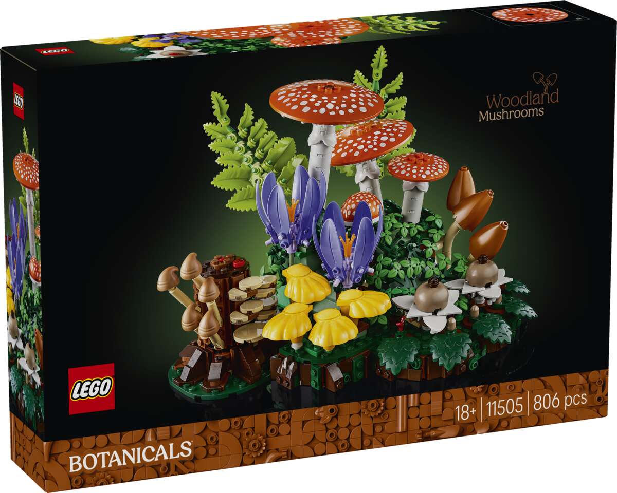 LEGO® Botanicals Skogsopp 11505