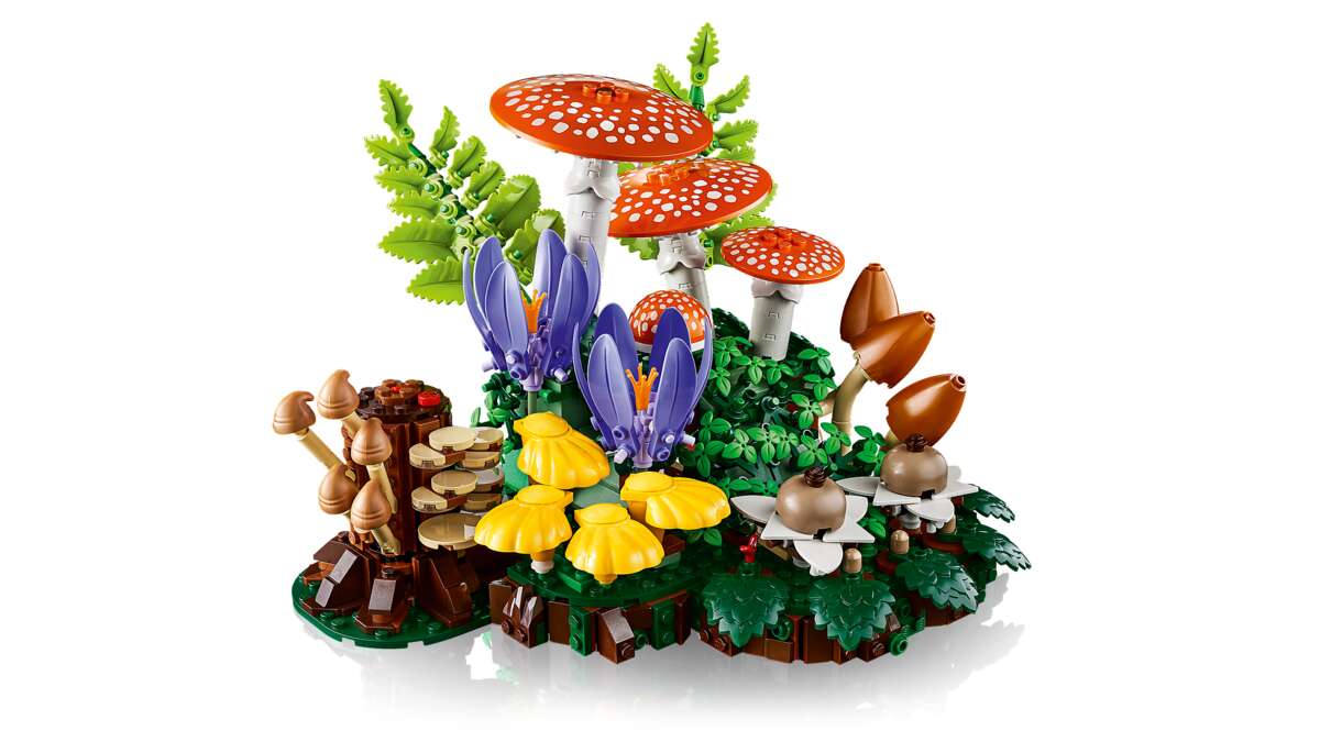 LEGO® Botanicals Skogsopp 11505