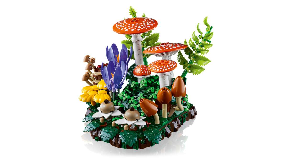 LEGO® Botanicals Skogsopp 11505