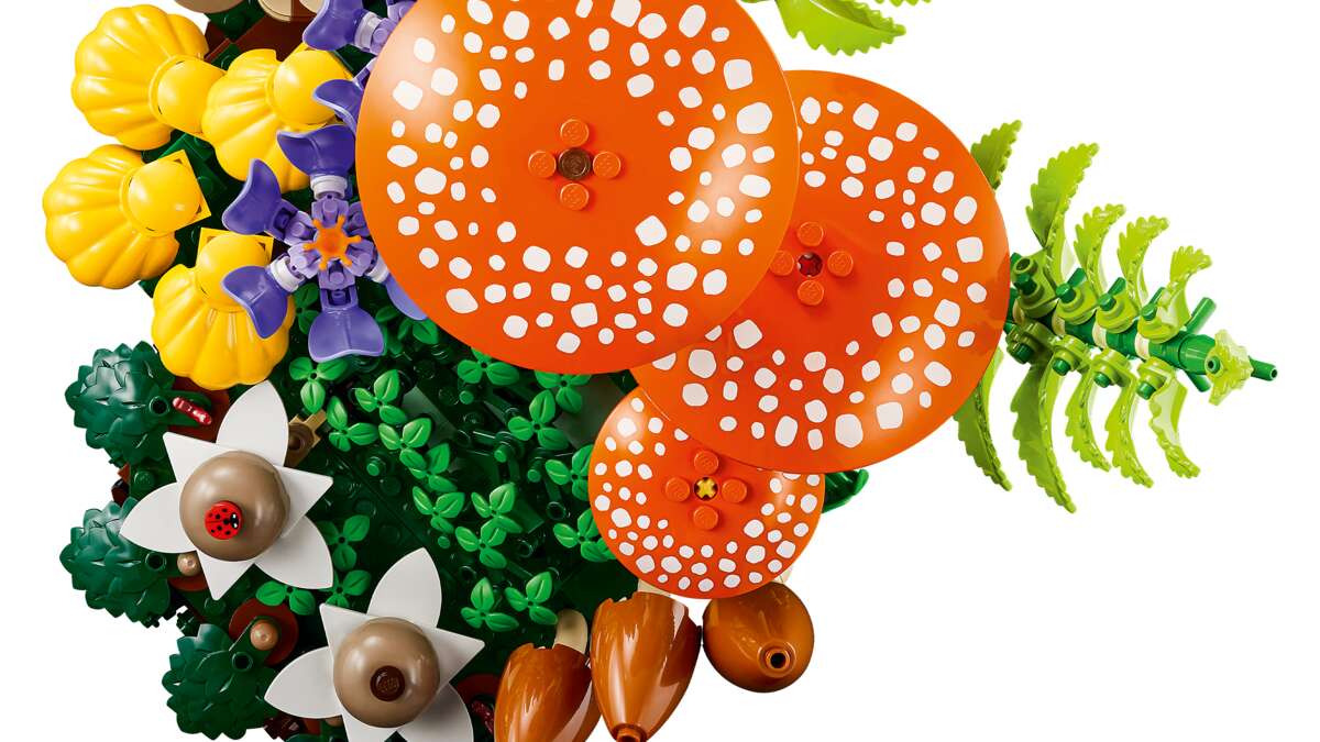 LEGO® Botanicals Skogsopp 11505