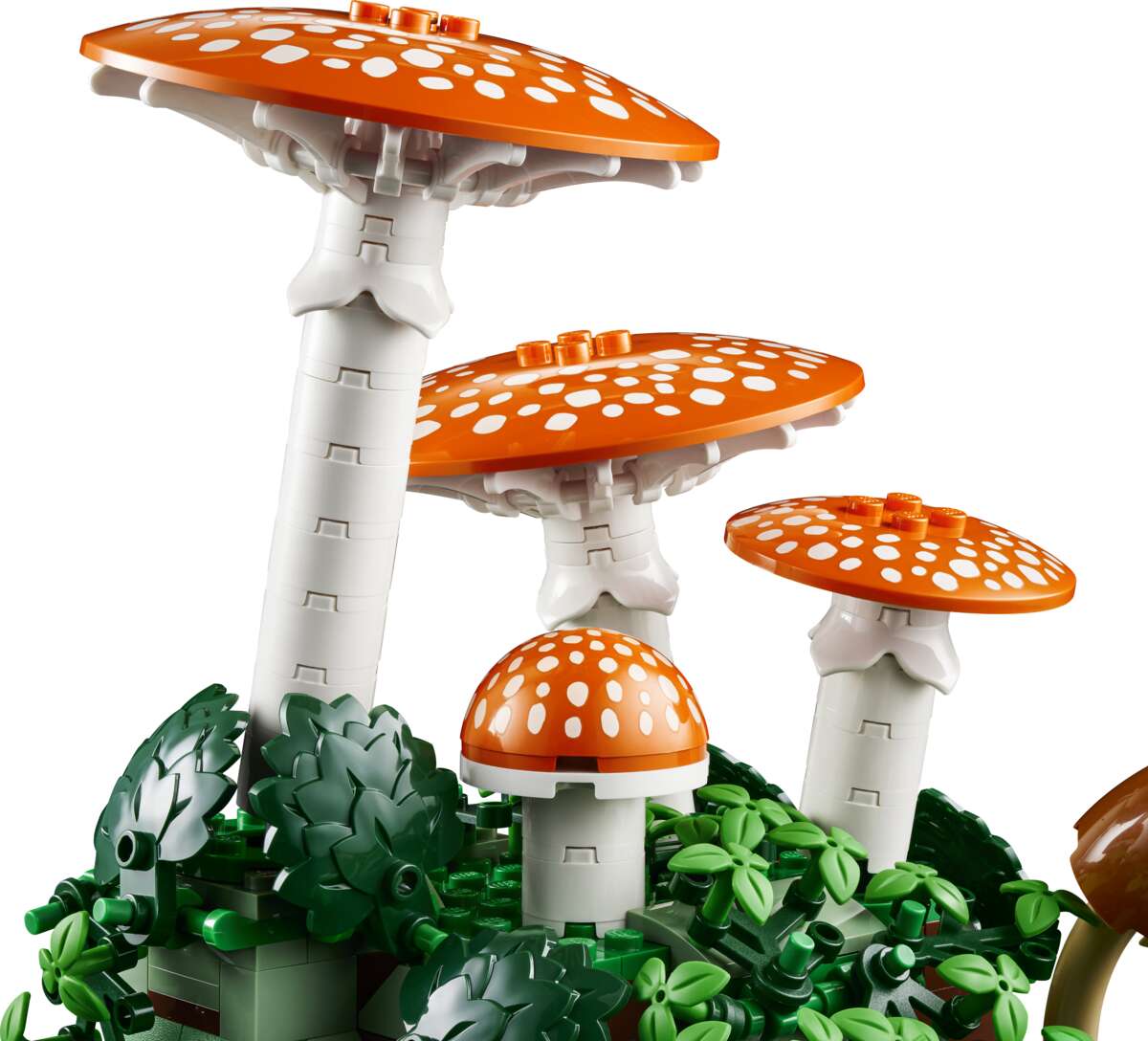 LEGO® Botanicals Skogsopp 11505