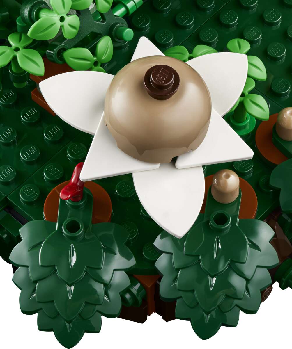 LEGO® Botanicals Skogsopp 11505