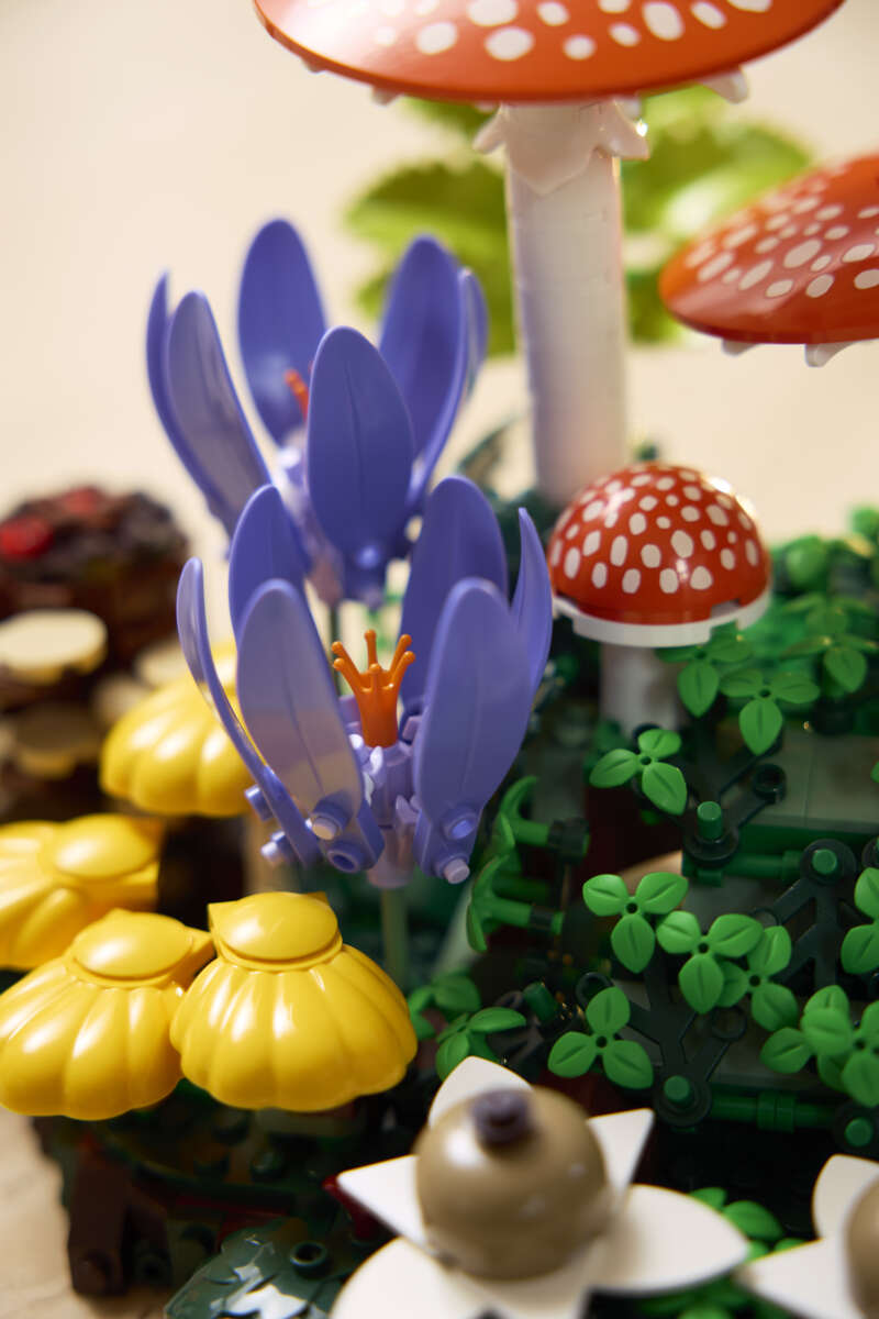 LEGO® Botanicals Skogsopp 11505