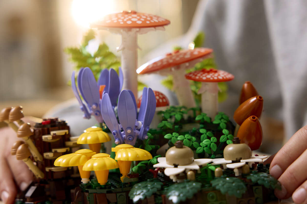 LEGO® Botanicals Skogsopp 11505