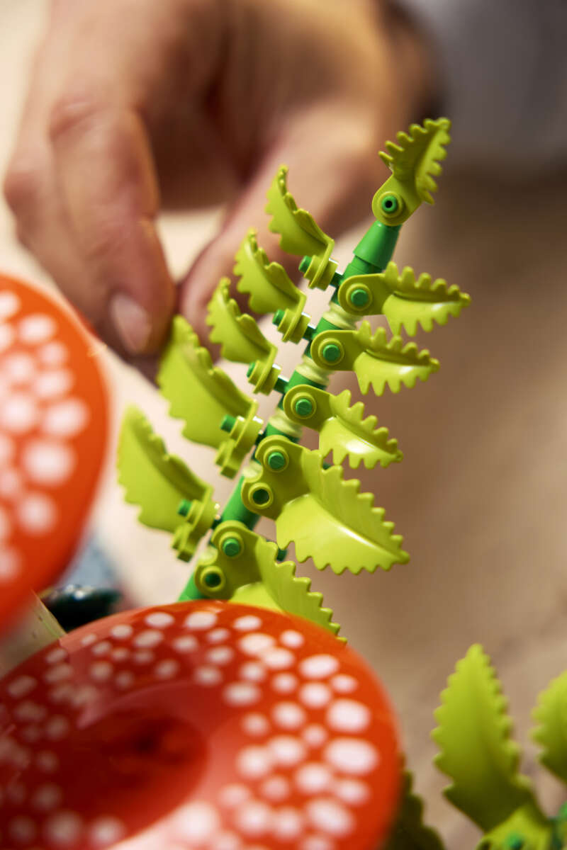 LEGO® Botanicals Skogsopp 11505