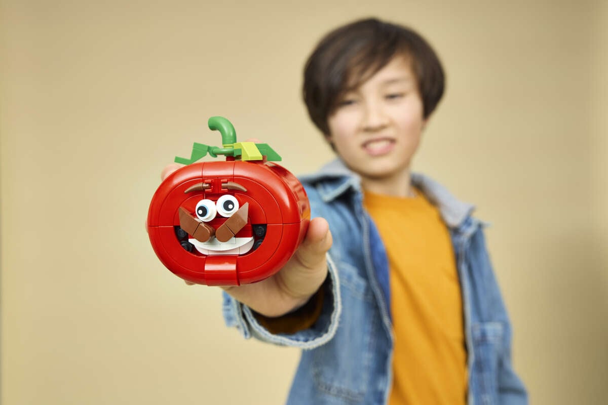 LEGO® Fortnite® Tomatohead 77079