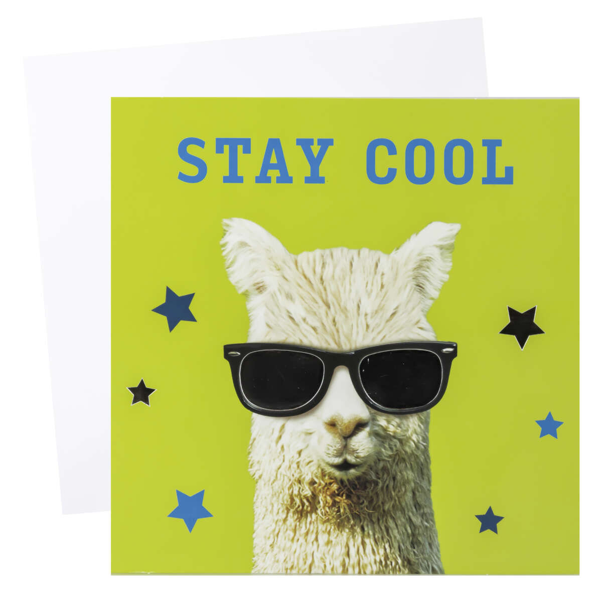 Kort Stay Cool