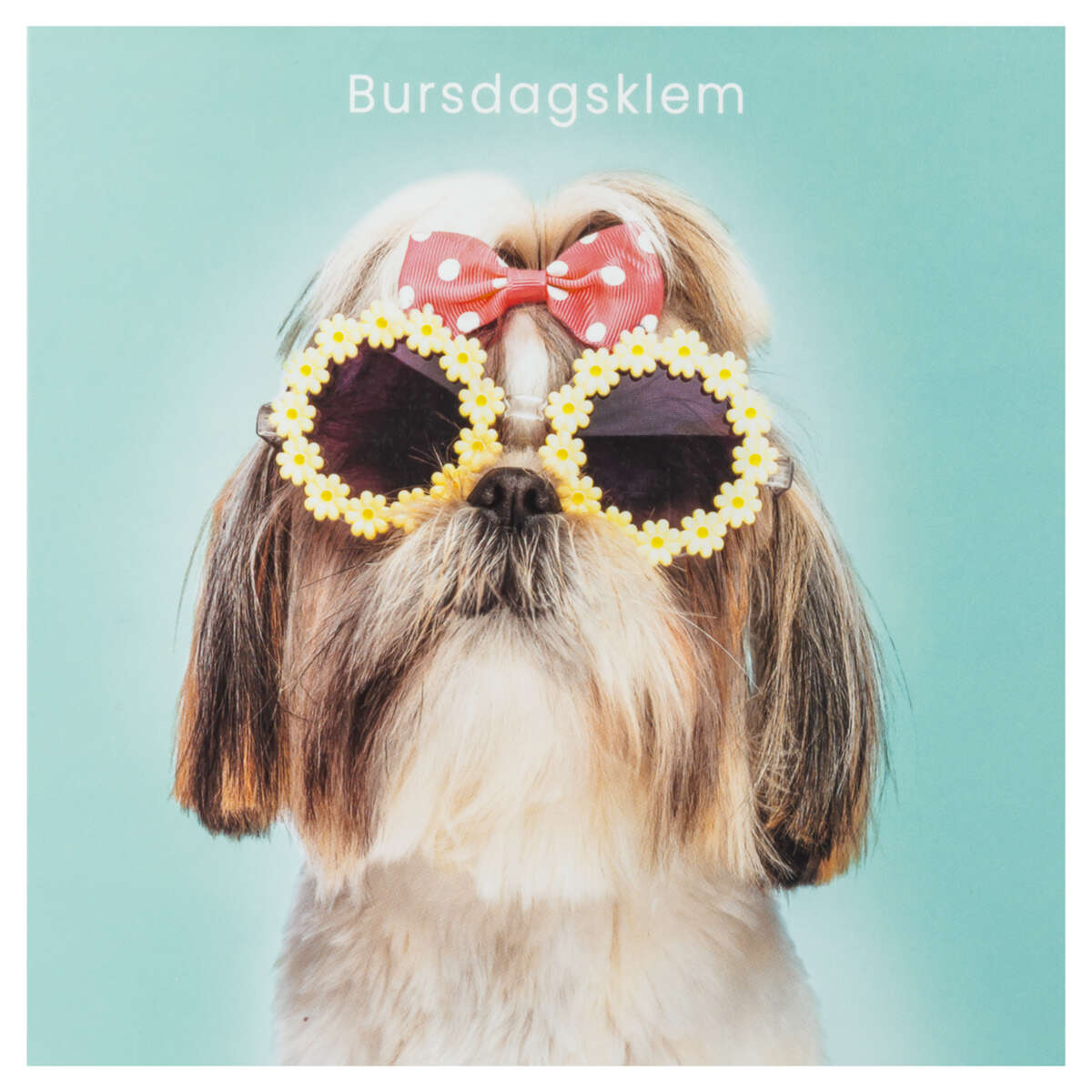 Kort Bursdagsklem