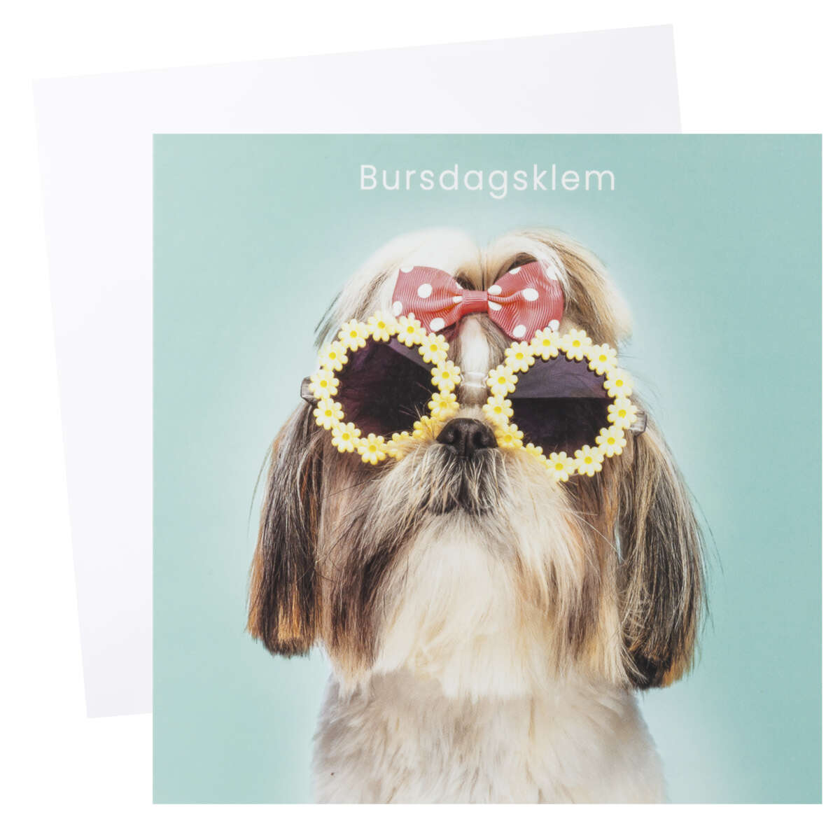 Kort Bursdagsklem