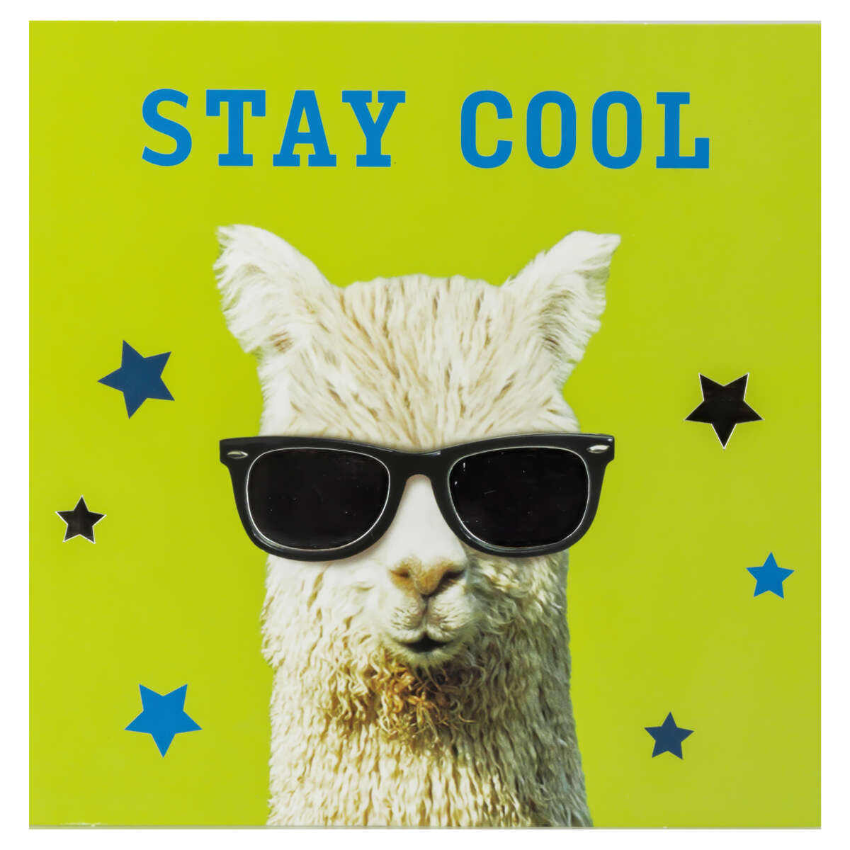 Kort Stay Cool