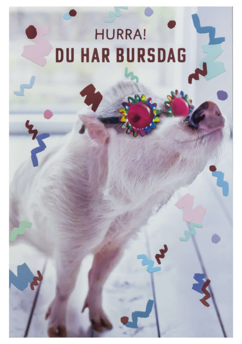 Lydkort Hurra! Du har bursdag