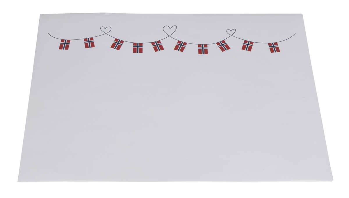 17. mai bordbrikke 6pk