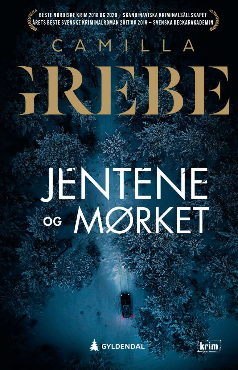 Camilla Grebe: Jentene og mørket
