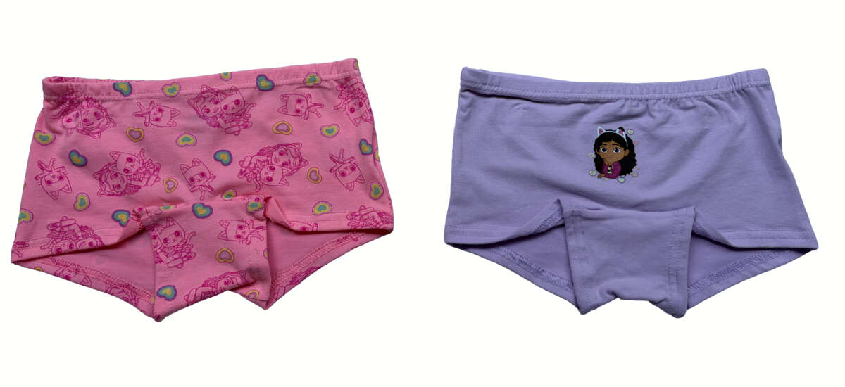 Gabby’s Dollhouse hipstertruser barn 2-pk