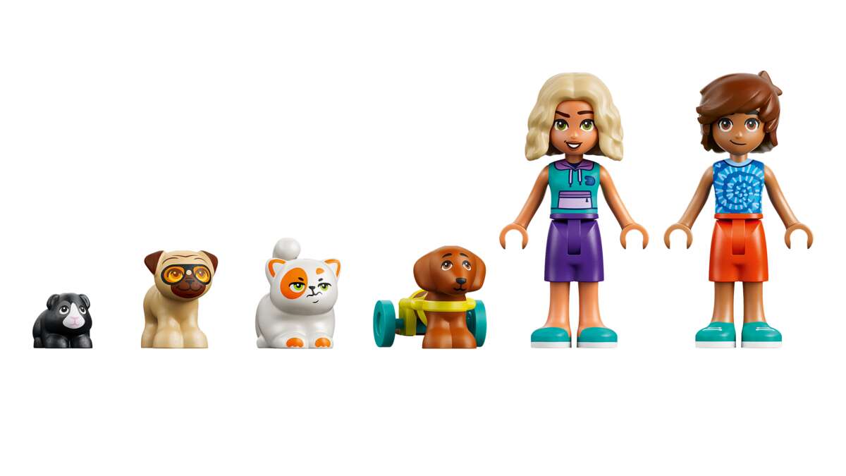 LEGO® Friends Gøyal dag i Badeland 42676