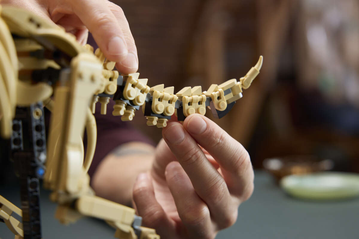 LEGO® Jurassic World Dinosaurfossiler: Triceratops 77985