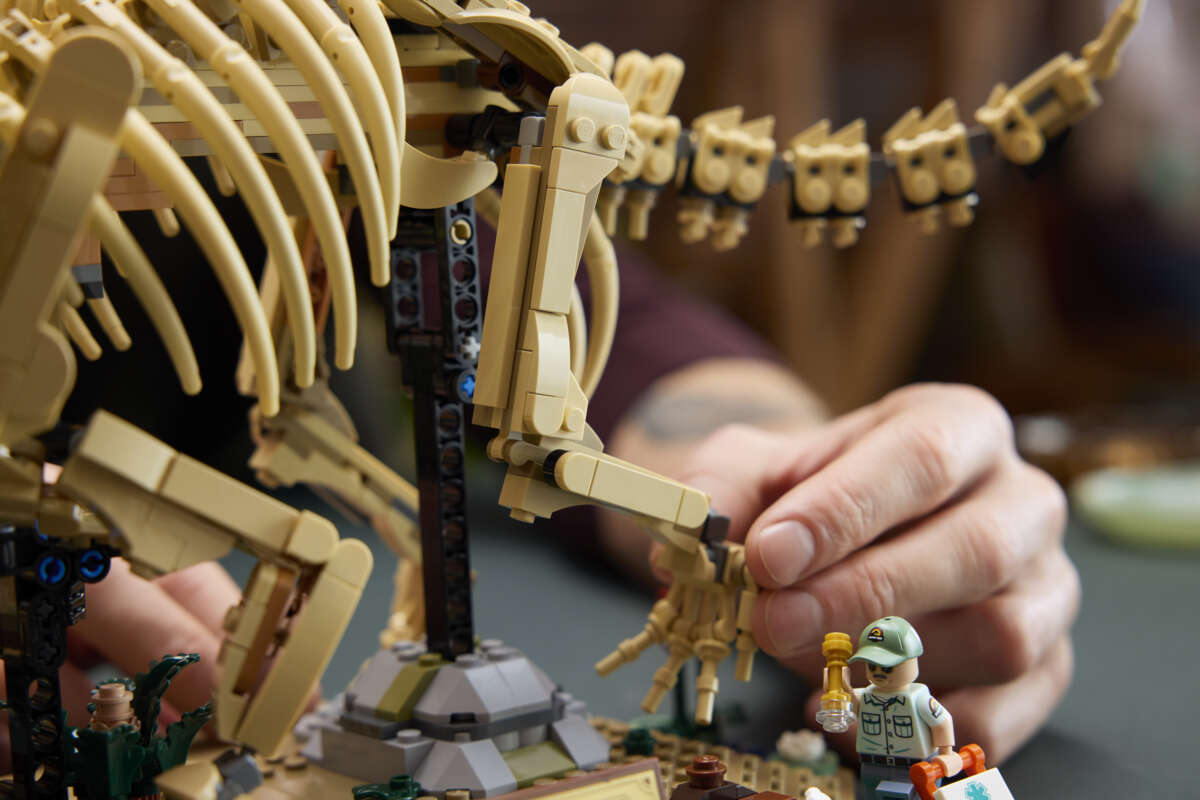 LEGO® Jurassic World Dinosaurfossiler: Triceratops 77985