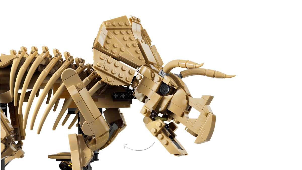 LEGO® Jurassic World Dinosaurfossiler: Triceratops 77985