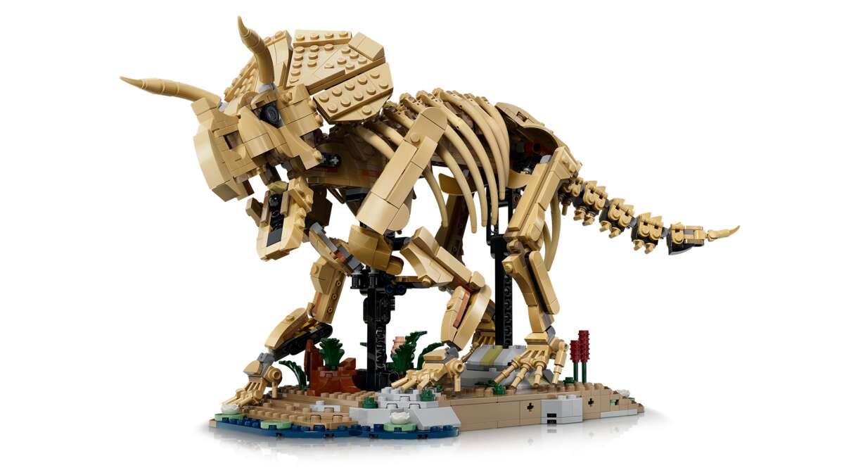 LEGO® Jurassic World Dinosaurfossiler: Triceratops 77985