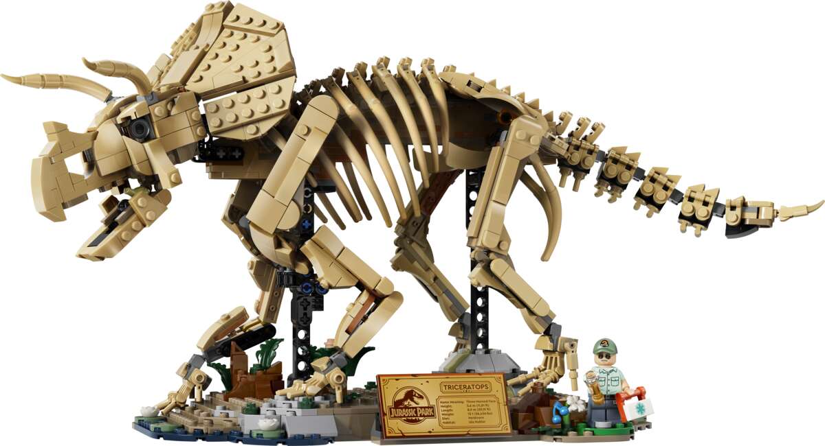 LEGO® Jurassic World Dinosaurfossiler: Triceratops 77985