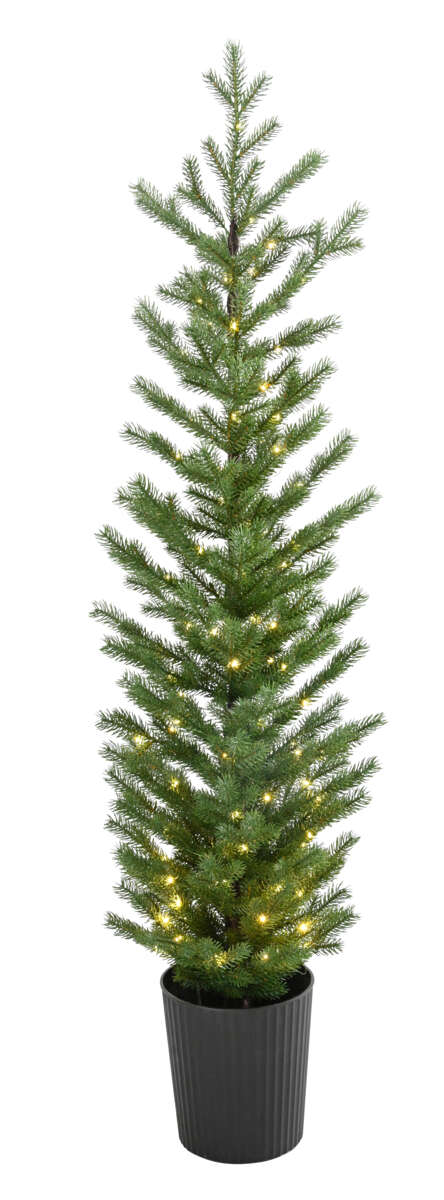 Juletre i rillet potte