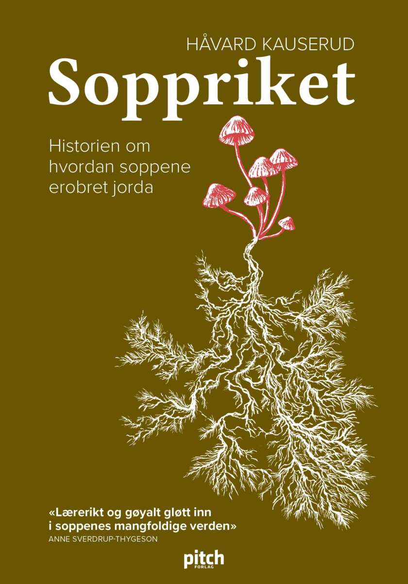 Soppriket
