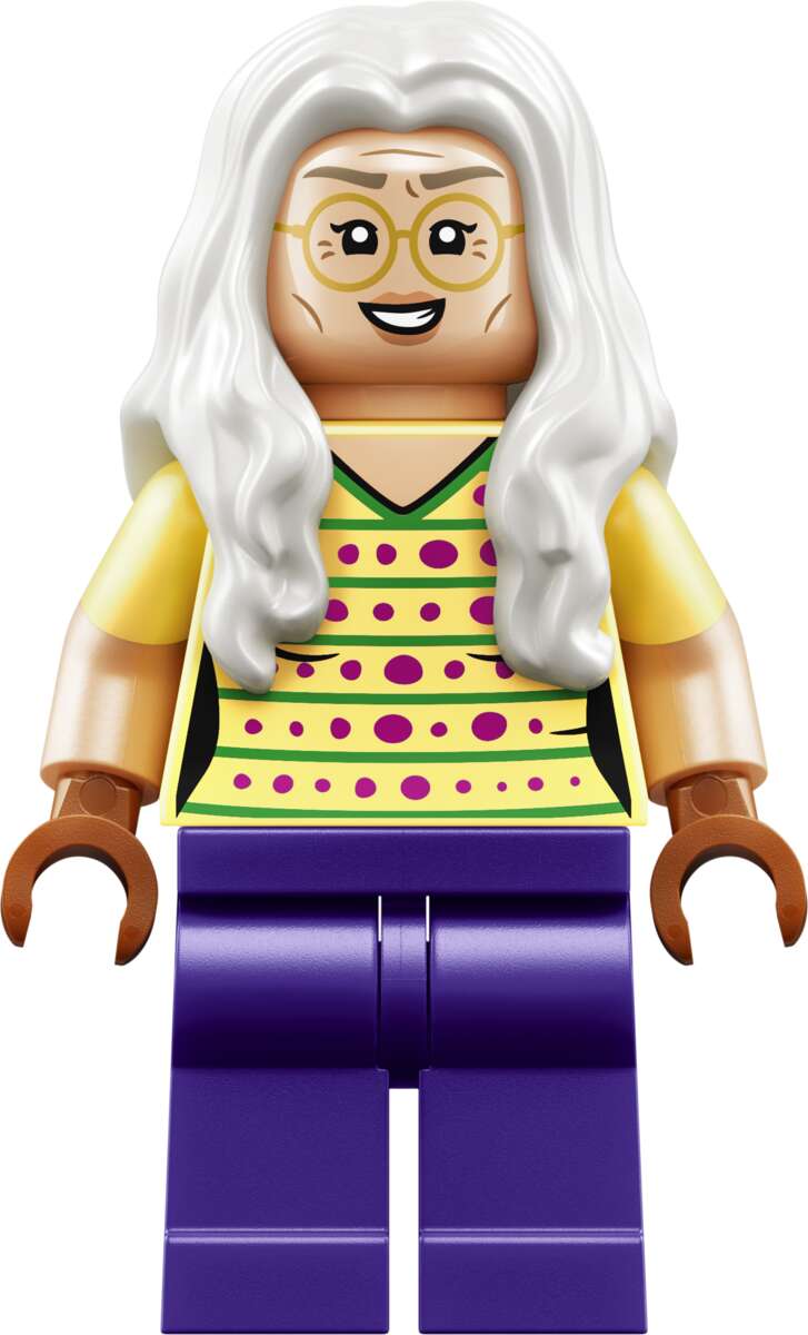 LEGO® ONE PIECE Dr. Hiriluks koselige hjem 75641