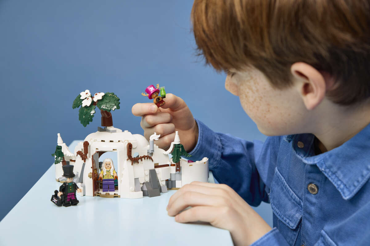 LEGO® ONE PIECE Dr. Hiriluks koselige hjem 75641