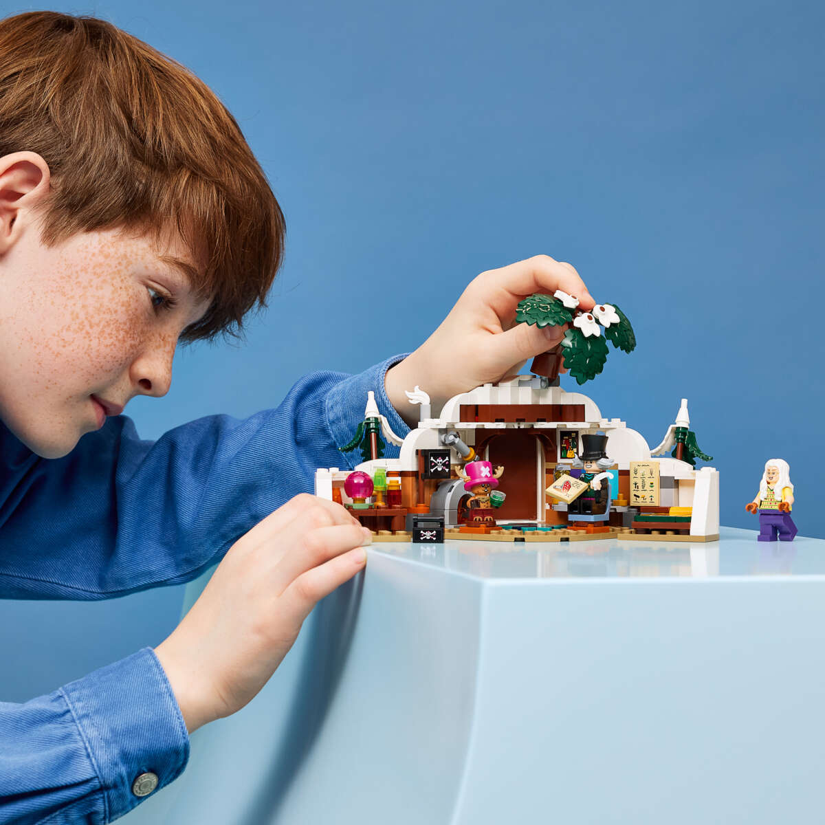 LEGO® ONE PIECE Dr. Hiriluks koselige hjem 75641