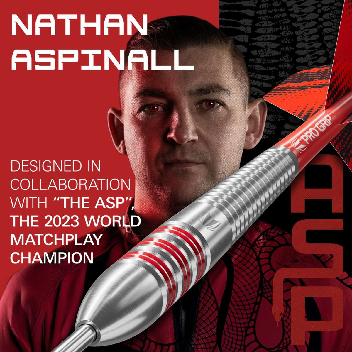 Target Nathan Aspinall The Asp dartpiler steel tip 22 g