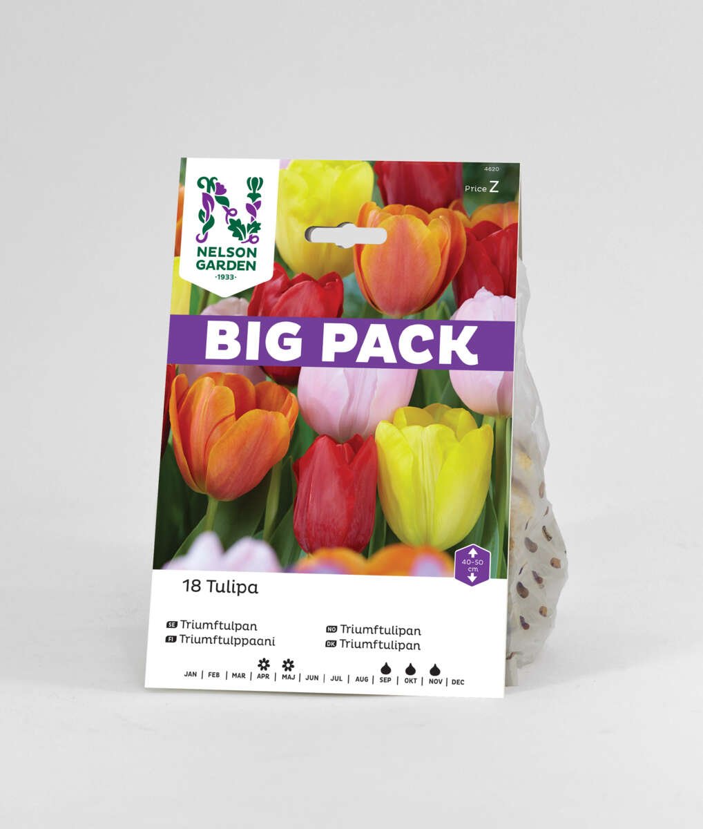 Høstløk Tulipan mix