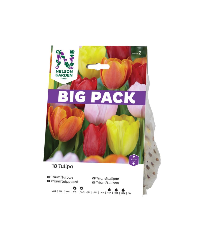Høstløk Tulipan mix