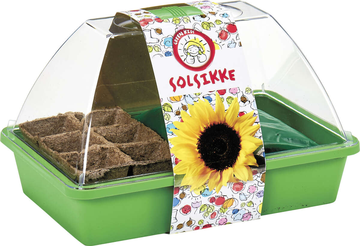 Stor drivhus solsikke inkludert kokos planter og voksende medium