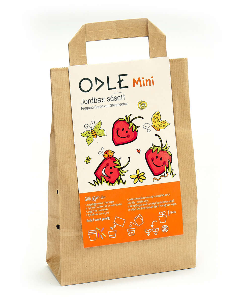 Gavebag såsett m/jordbærfrø