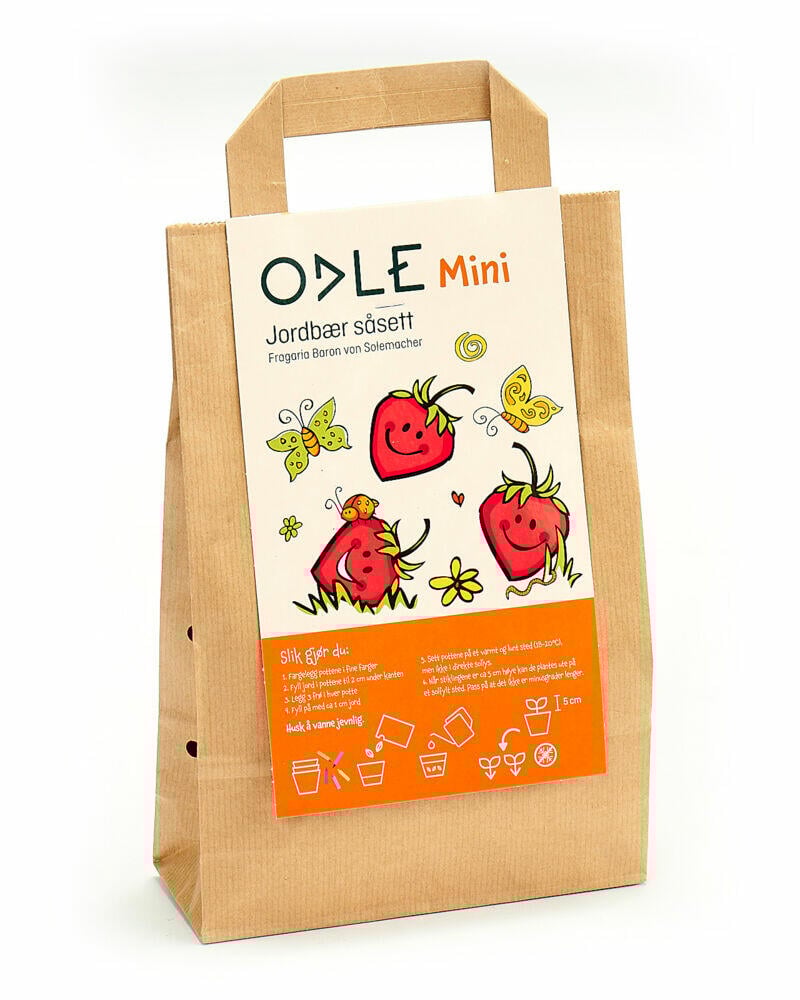 Gavebag såsett m/jordbærfrø