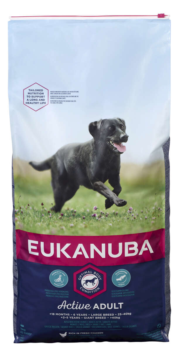 Eukanuba Dog Adult Large 15kg