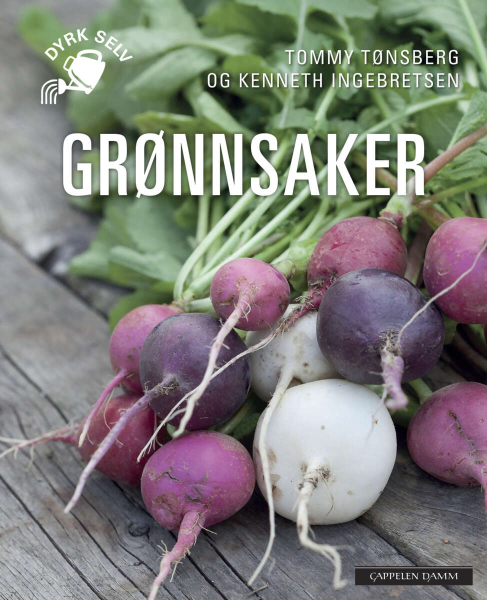 Grønnsaker