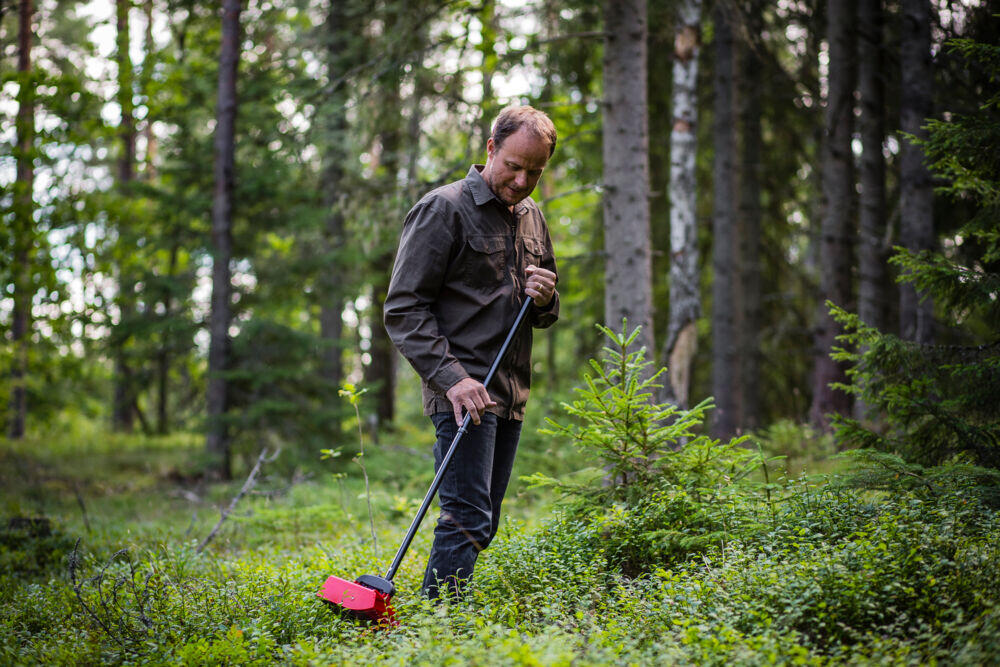Jonas bærplukker