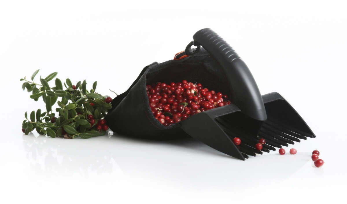 Jonas sammenleggbar bærplukker