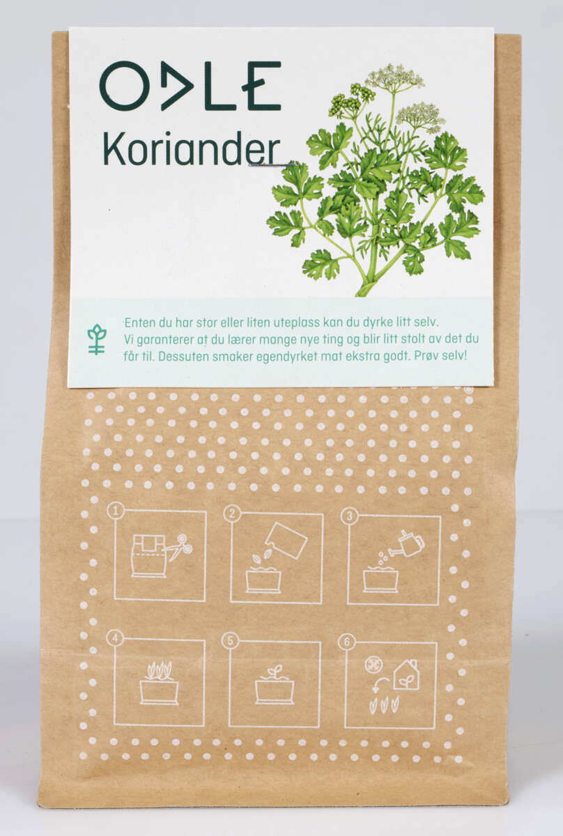 Odle grow bag koriander