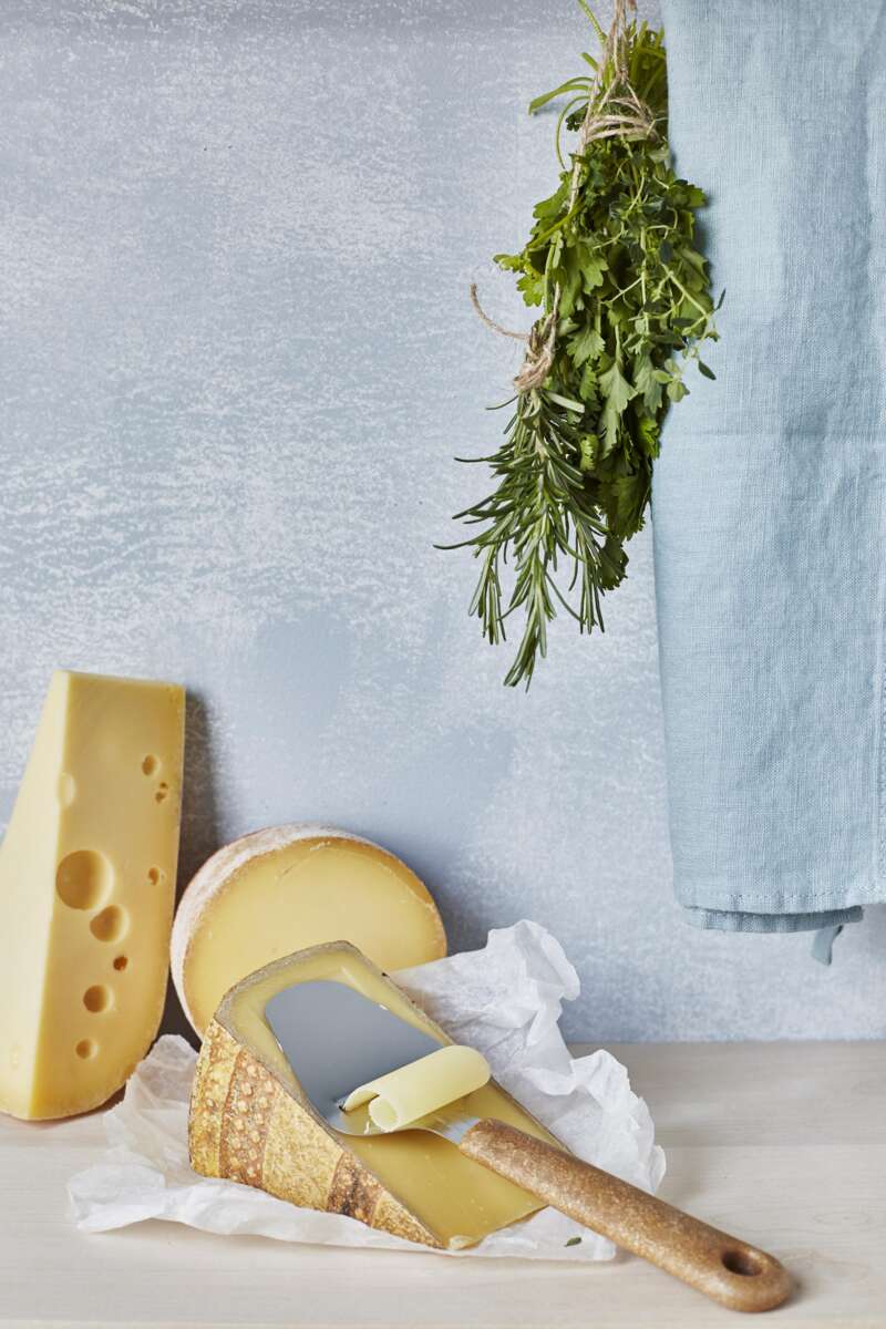 GastroMax™ Bio ostehøvel