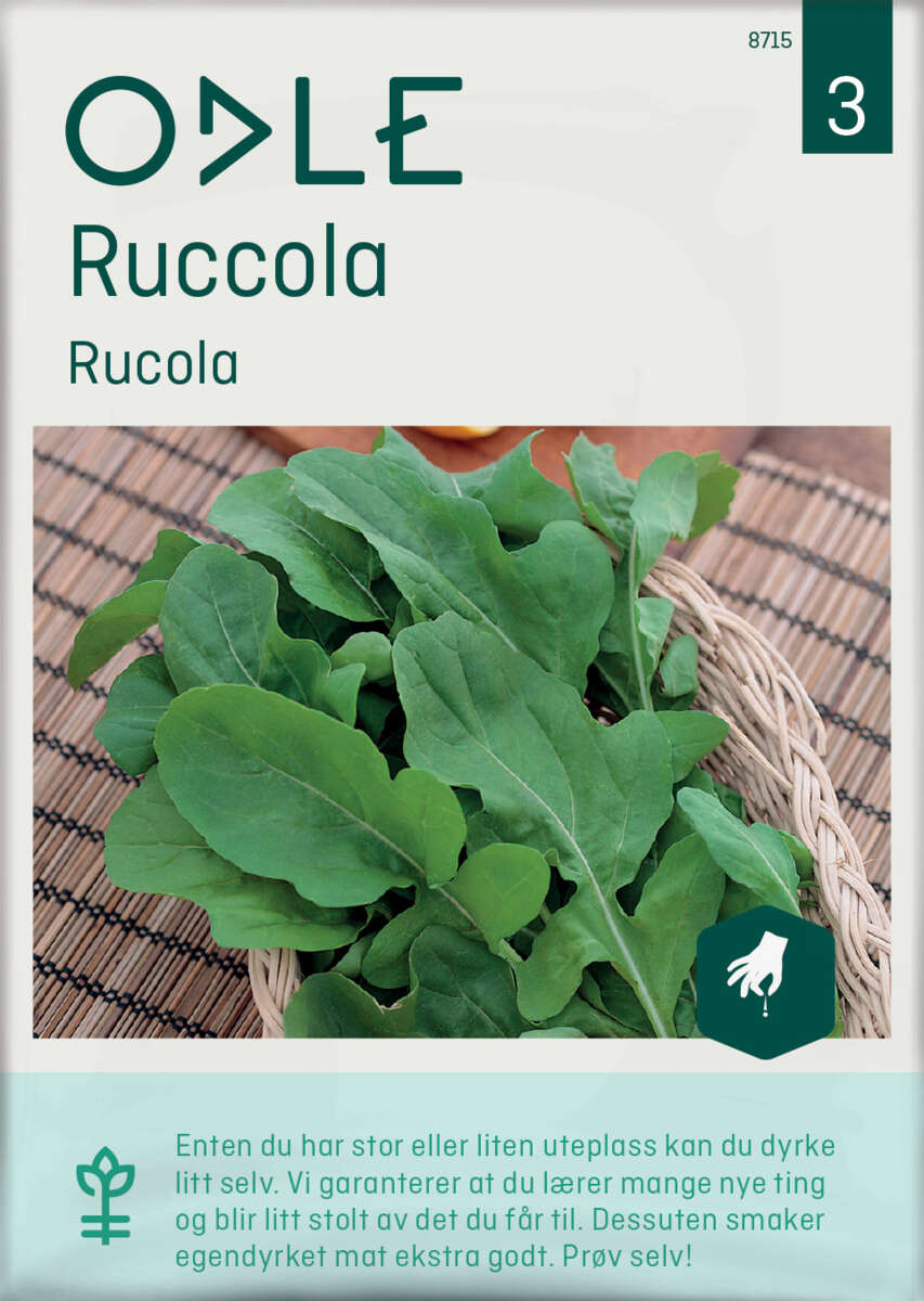 Odle ruccola frø