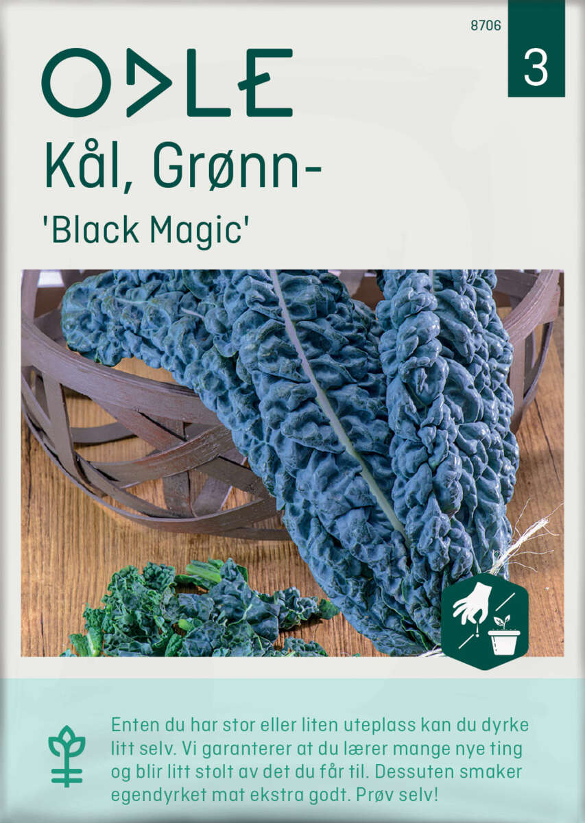 Odle 'Black Magic' grønnkål frø