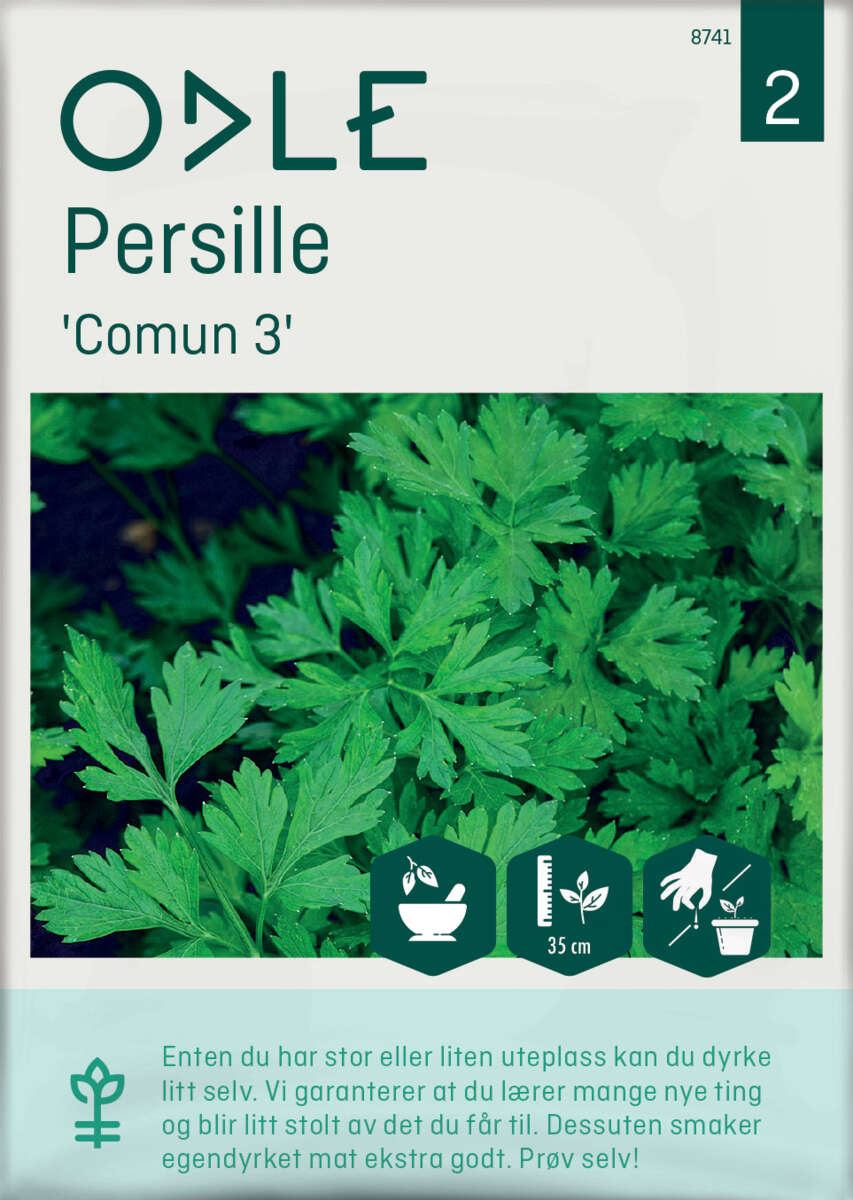 Odle 'Comun 3' persille frø