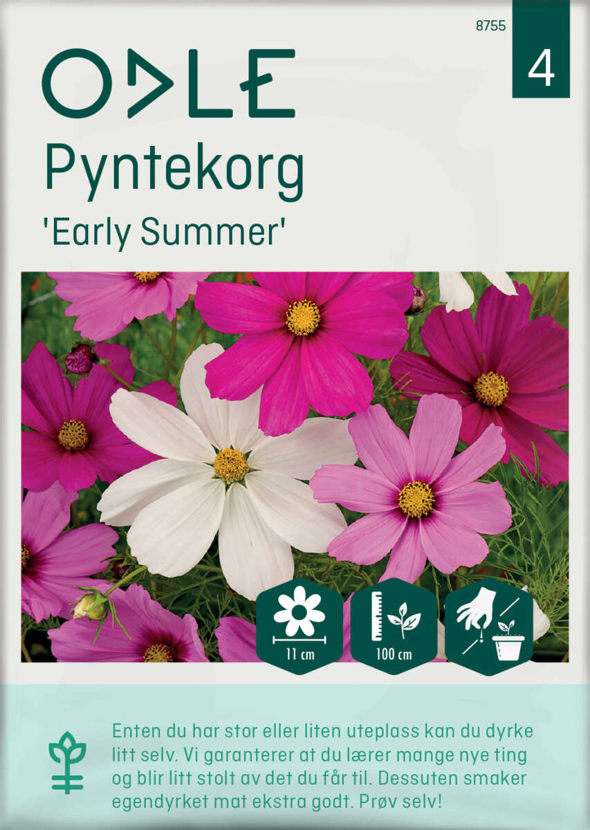 Odle 'Early Summer' pyntekorg frø