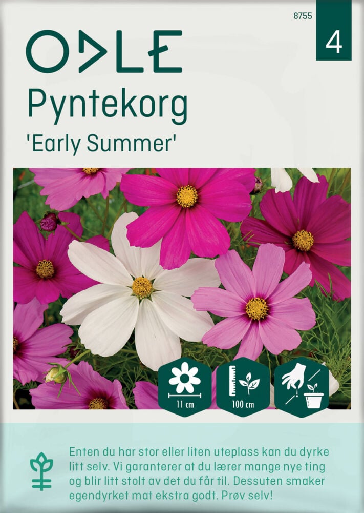 Odle 'Early Summer' pyntekorg frø
