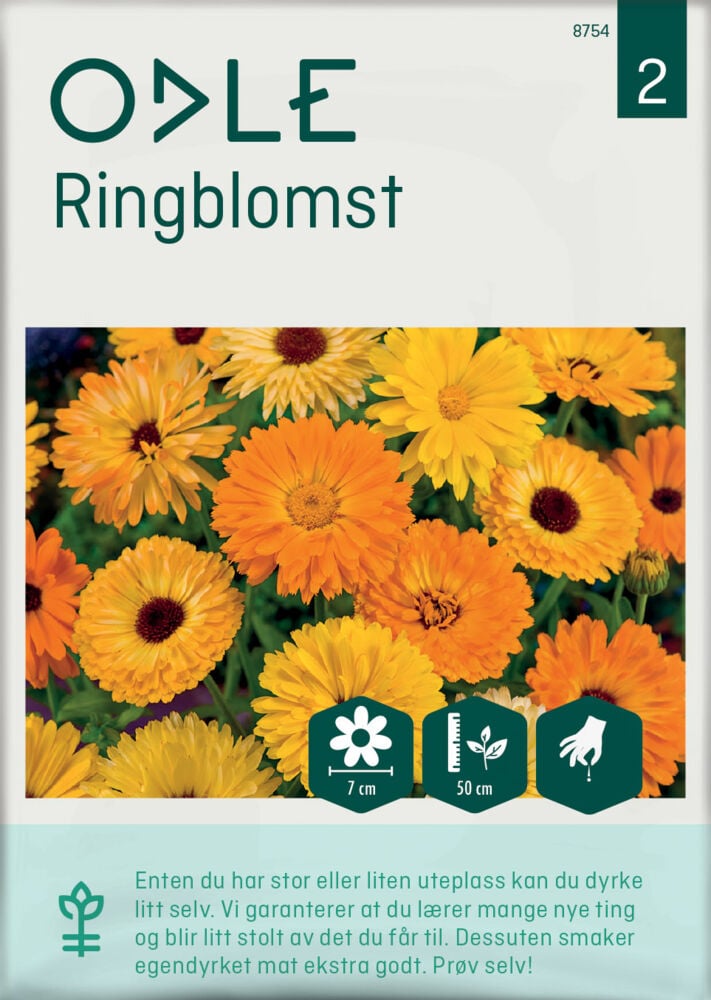 Odle ringblomst frø
