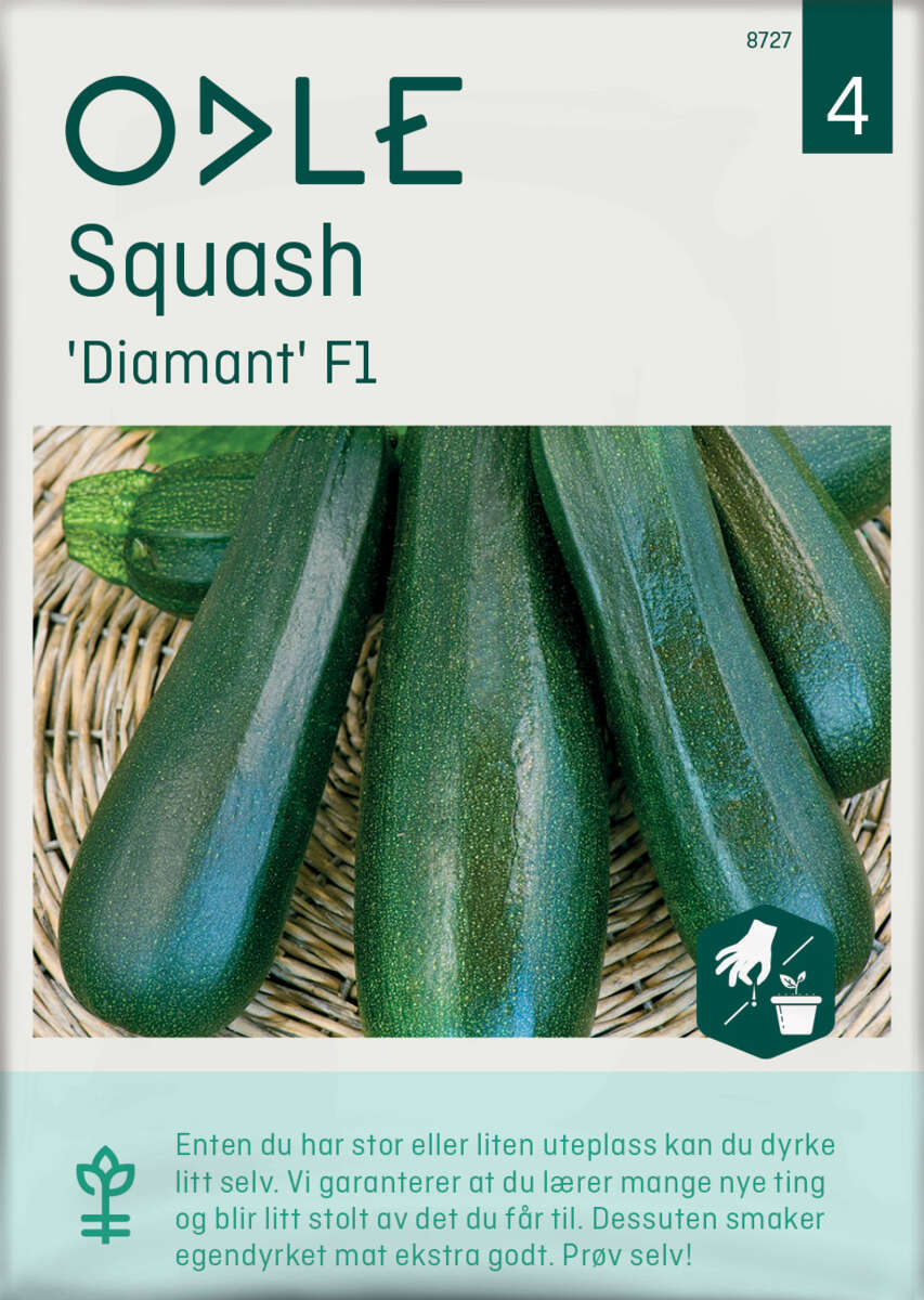 Odle 'Diamant' F1 squash frø