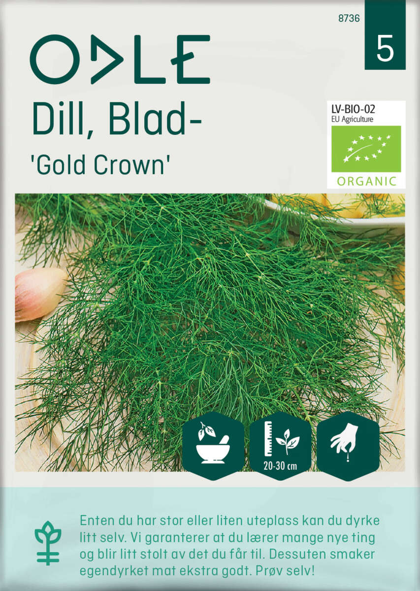 Odle 'Gold Crown' blad dill frø
