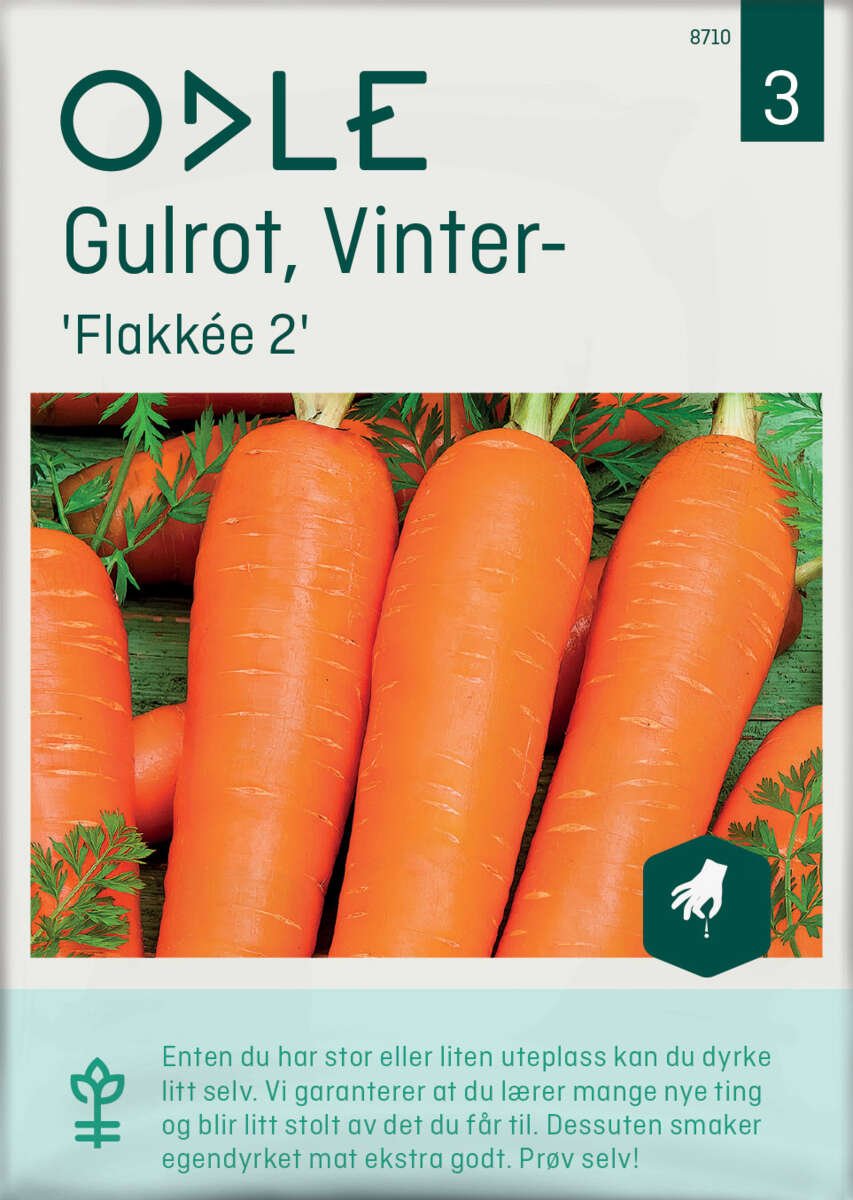 Odle 'Flakkée 2 vinter-' gulrot frø